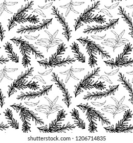 Seamless Endless Pattern of Rosemary Branch and Sage. Background with Aromatic Healing Herb. Steak Meat Spice. Hand Drawn Illustration. Savoyar Doodle Style.