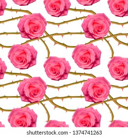 Seamless, endless pattern with roses and thorns, bright pink roses on white background, design for your packing. Vector illustration