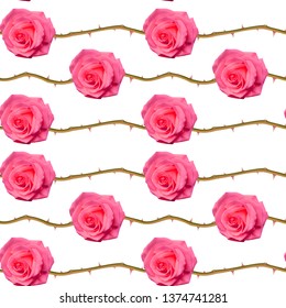 Seamless, endless pattern with roses and thorns, bright pink roses on white background, design for your packing. Vector illustration