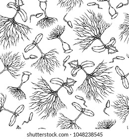 Seamless Endless Vector Illustration of Sprouting Seeds. Growing Sprouts Background. Plant Trees, Flowers, Vegetables Cucumber, Zucchini, Pumpkin, Melons Growing. Hand Drawn. Savoyar Doodle Style.