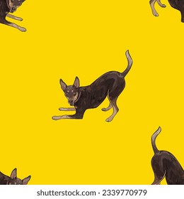 Seamless English toy terrier pattern, holiday texture. Dog Packaging wrapping paper. Trendy hand-drawn funny breed wallpaper. Fun seamless happy cute dog play position on a square repeat pattern. 