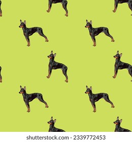 Seamless English toy terrier pattern, holiday texture. Dog Packaging green wrapping paper. Trendy hand-drawn funny breed wallpaper. Fun seamless happy cute side view dogs on a square repeat pattern. 