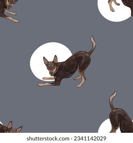 Seamless English toy terrier pattern, holiday texture. Dog Packaging wrapping paper. Trendy hand-drawn funny breed wallpaper. Fun seamless happy cute playing pose dogs on a square repeat pattern. 
