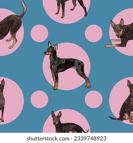 Seamless English toy terrier symetric pattern with blue circles. Square format. Pink, blue packaging, textile, decoration, wrapping paper. Trendy hand-drawn dogs wallpaper. Detailed dogs iluustrations