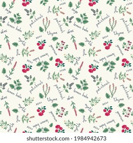 Seamless essential oil plants pattern