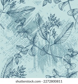 Seamless Eucalyptus leaves. Floral botanical flower. Vector hand drawing wildflower for background, texture, wrapper pattern, frame or border.
