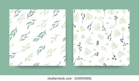 Seamless Eucalyptus Pattern. Nature Foliage Texture. Spring Dress Design. Floral Pattern. Vector Fern Leafs. Cute Botanical Border. Elegant Flower Print. Tropical Eucalyptus Pattern.