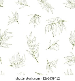 seamless eucalyptus pattern, vector logo, hand-drawn