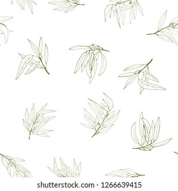 seamless eucalyptus pattern, vector logo, hand-drawn