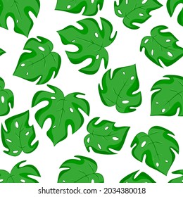 Seamless exotic green leaves. Monstera seamless pattern.