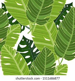 Seamless exotic pattern with banana and monstera leaf vector. Exotic palm leaf vector seamless. 