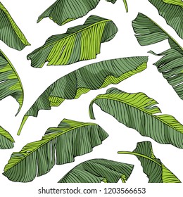 Seamless exotic pattern. Green Tropical banana leaves on a white background. Textile composition, hand drawn style print. Vector illustration.