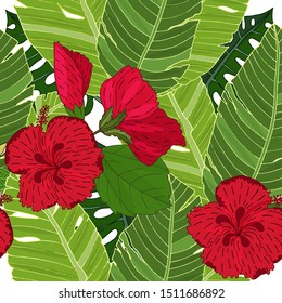 Seamless exotic pattern with Hibiscus flower, banana and monstera leaf vector. Exotic Hibiscus flower and palm leaf vector seamless. 