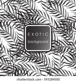 Seamless exotic pattern with palm leaves . Vector hand draw illustration.