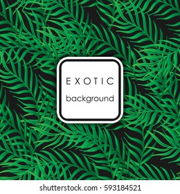 Seamless exotic pattern with palm leaves . Vector hand draw illustration.