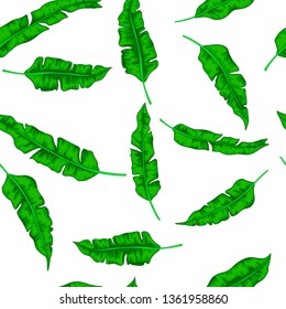Seamless exotic pattern with tropical leaves. Vector illustration.