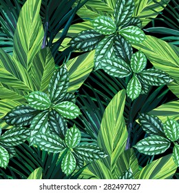 seamless exotic pattern with tropical leaves. vector pattern.