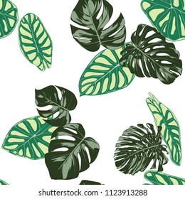 Seamless Exotic Pattern with Tropical Plants. Vector Background with Hand Draw Monstera Palm Leaves. Bright Rapport for Cloth, Textile Design. Jungle Foliage. Seamless Tropical Pattern with Alocasia.