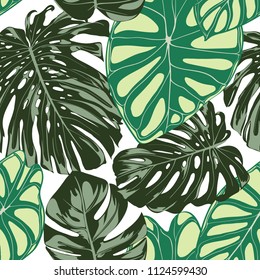 Seamless Exotic Pattern with Tropical Plants. Vector Background with Hand Draw Monstera Palm Leaves. Bright Rapport for Cloth, Textile Design. Jungle Foliage. Seamless Tropical Pattern with Alocasia.