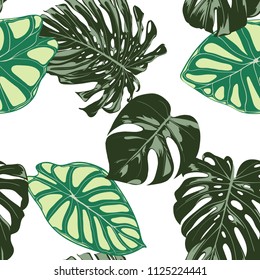 Seamless Exotic Pattern with Tropical Plants. Vector Background with Hand Draw Monstera Palm Leaves. Bright Rapport for Cloth, Textile Design. Jungle Foliage. Seamless Tropical Pattern with Alocasia.