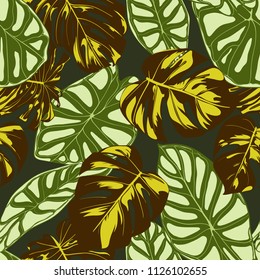 Seamless Exotic Pattern with Tropical Plants. Vector Background with Hand Draw Monstera Palm Leaves. Bright Rapport for Cloth, Textile Design. Jungle Foliage. Seamless Tropical Pattern with Alocasia.
