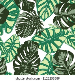 Seamless Exotic Pattern with Tropical Plants. Vector Background with Hand Draw Monstera Palm Leaves. Bright Rapport for Cloth, Textile Design. Jungle Foliage. Seamless Tropical Pattern with Alocasia.