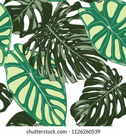 Seamless Exotic Pattern with Tropical Plants. Vector Background with Hand Draw Monstera Palm Leaves. Bright Rapport for Cloth, Textile Design. Jungle Foliage. Seamless Tropical Pattern with Alocasia.