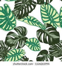 Seamless Exotic Pattern with Tropical Plants. Vector Background with Hand Draw Monstera Palm Leaves. Bright Rapport for Cloth, Textile Design. Jungle Foliage. Seamless Tropical Pattern with Alocasia.