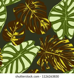 Seamless Exotic Pattern with Tropical Plants. Vector Background with Hand Draw Monstera Palm Leaves. Bright Rapport for Cloth, Textile Design. Jungle Foliage. Seamless Tropical Pattern with Alocasia.