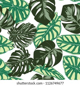 Seamless Exotic Pattern with Tropical Plants. Vector Background with Hand Draw Monstera Palm Leaves. Bright Rapport for Cloth, Textile Design. Jungle Foliage. Seamless Tropical Pattern with Alocasia.