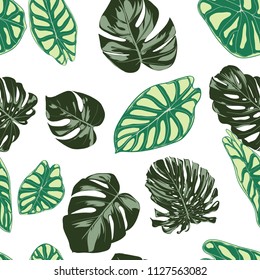 Seamless Exotic Pattern with Tropical Plants. Vector Background with Hand Draw Monstera Palm Leaves. Bright Rapport for Cloth, Textile Design. Jungle Foliage. Seamless Tropical Pattern with Alocasia.