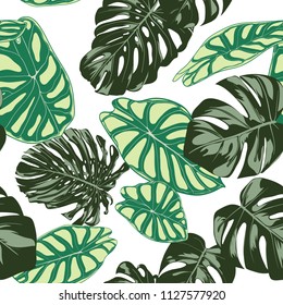 Seamless Exotic Pattern with Tropical Plants. Vector Background with Hand Draw Monstera Palm Leaves. Bright Rapport for Cloth, Textile Design. Jungle Foliage. Seamless Tropical Pattern with Alocasia.