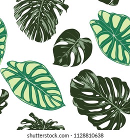 Seamless Exotic Pattern with Tropical Plants. Vector Background with Hand Draw Monstera Palm Leaves. Bright Rapport for Cloth, Textile Design. Jungle Foliage. Seamless Tropical Pattern with Alocasia.