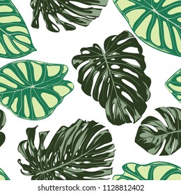 Seamless Exotic Pattern with Tropical Plants. Vector Background with Hand Draw Monstera Palm Leaves. Bright Rapport for Cloth, Textile Design. Jungle Foliage. Seamless Tropical Pattern with Alocasia.