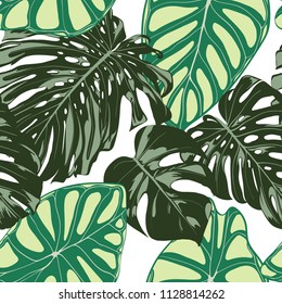 Seamless Exotic Pattern with Tropical Plants. Vector Background with Hand Draw Monstera Palm Leaves. Bright Rapport for Cloth, Textile Design. Jungle Foliage. Seamless Tropical Pattern with Alocasia.
