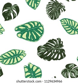 Seamless Exotic Pattern with Tropical Plants. Vector Background with Hand Draw Monstera Palm Leaves. Bright Rapport for Cloth, Textile Design. Jungle Foliage. Seamless Tropical Pattern with Alocasia.
