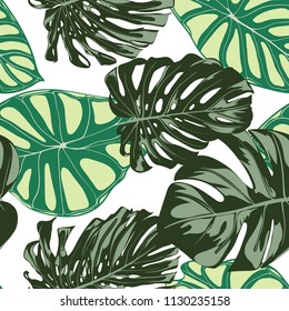 Seamless Exotic Pattern with Tropical Plants. Vector Background with Hand Draw Monstera Palm Leaves. Bright Rapport for Cloth, Textile Design. Jungle Foliage. Seamless Tropical Pattern with Alocasia.
