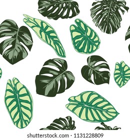 Seamless Exotic Pattern with Tropical Plants. Vector Background with Hand Draw Monstera Palm Leaves. Bright Rapport for Cloth, Textile Design. Jungle Foliage. Seamless Tropical Pattern with Alocasia.