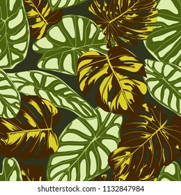 Seamless Exotic Pattern with Tropical Plants. Vector Background with Hand Draw Monstera Palm Leaves. Bright Rapport for Cloth, Textile Design. Jungle Foliage. Seamless Tropical Pattern with Alocasia.