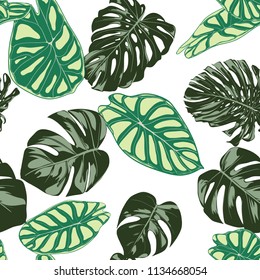 Seamless Exotic Pattern with Tropical Plants. Vector Background with Hand Draw Monstera Palm Leaves. Bright Rapport for Cloth, Textile Design. Jungle Foliage. Seamless Tropical Pattern with Alocasia.