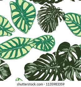 Seamless Exotic Pattern with Tropical Plants. Vector Background with Hand Draw Monstera Palm Leaves. Bright Rapport for Cloth, Textile Design. Jungle Foliage. Seamless Tropical Pattern with Alocasia.