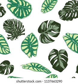 Seamless Exotic Pattern with Tropical Plants. Vector Background with Hand Draw Monstera Palm Leaves. Bright Rapport for Cloth, Textile Design. Jungle Foliage. Seamless Tropical Pattern with Alocasia.