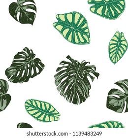 Seamless Exotic Pattern with Tropical Plants. Vector Background with Hand Draw Monstera Palm Leaves. Bright Rapport for Cloth, Textile Design. Jungle Foliage. Seamless Tropical Pattern with Alocasia.