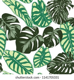 Seamless Exotic Pattern with Tropical Plants. Vector Background with Hand Draw Monstera Palm Leaves. Bright Rapport for Cloth, Textile Design. Jungle Foliage. Seamless Tropical Pattern with Alocasia.