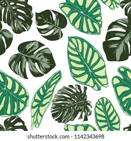 Seamless Exotic Pattern with Tropical Plants. Vector Background with Hand Draw Monstera Palm Leaves. Bright Rapport for Cloth, Textile Design. Jungle Foliage. Seamless Tropical Pattern with Alocasia.