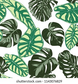 Seamless Exotic Pattern with Tropical Plants. Vector Background with Hand Draw Monstera Palm Leaves. Bright Rapport for Cloth, Textile Design. Jungle Foliage. Seamless Tropical Pattern with Alocasia.