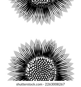 Seamless fabric of  sun flowers Pattern, like illustration. Suit for package design, wallpaper, fashion print.