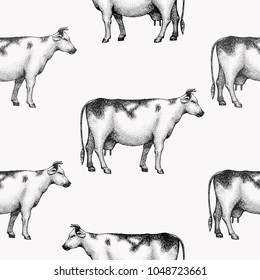 Seamless farm vector pattern. Graphical cow silhouette, hand drawn vintage illustrations. Retro farm animals background.