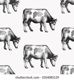 Seamless farm vector pattern. Graphical cow silhouette, hand drawn vintage illustrations. Retro farm animals background.