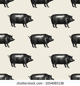 Seamless farm vector pattern. Graphical pig silhouette, hand drawn vintage illustrations. Retro farm animals background.